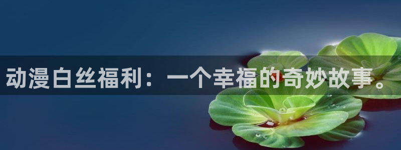 动漫之家无响应
